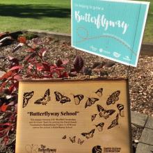 Congratulations to our Green Team for their recognition by the David Suzuki Foundation as a "Butterflyway School"!