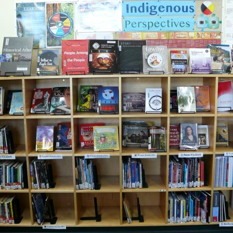 Indigenous Perspectives books